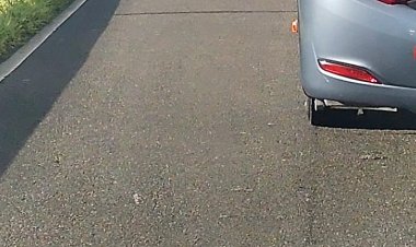 Acidente próximo a Boca da Mata com dois ônibus e um carro.